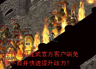 如何通过龙武官方客户端免费下载并快速提升战力? 如何通过龙武官方客户端免费下载并快速提升战力?