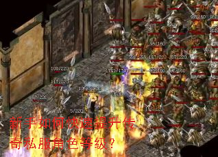 新手如何快速提升传奇私服角色等级? 新手如何快速提升传奇私服角色等级?