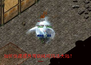 如何快速提升等级叱咤玛法大陆? 如何快速提升等级叱咤玛法大陆?