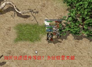 如何快速提升等级?多经验是关键 如何快速提升等级?多经验是关键