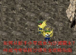 如何从新手小卒成长为沙城霸主?神威传奇纵横沙场完全攻略指南 如何从新手小卒成长为沙城霸主?神威传奇纵横沙场完全攻略指南