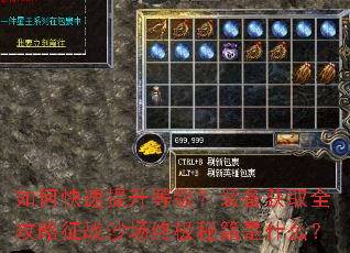 如何快速提升等级?装备获取全攻略征战沙场终极秘籍是什么? 如何快速提升等级?装备获取全攻略征战沙场终极秘籍是什么?