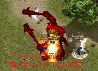 1.95合击私服变态版,高手都在用什么独门攻略秘籍? 1.95合击私服变态版,高手都在用什么独门攻略秘籍?