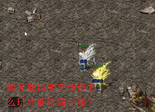 新开超级变态传奇怎么玩才能称霸全服? 新开超级变态传奇怎么玩才能称霸全服?
