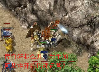 传奇SF怎么开,新手如何从零开始搭建运营? 传奇SF怎么开,新手如何从零开始搭建运营?