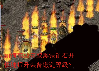 ��θ�Ч��ȡ������ʯ����������װ������ȼ���