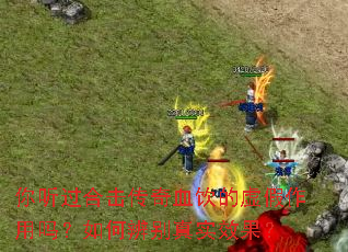 你听过合击传奇血饮的虚假作用吗?如何辨别真实效果? 你听过合击传奇血饮的虚假作用吗?如何辨别真实效果?
