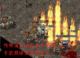 传奇魔王岭副本中弓箭手的具体数量是多少? 传奇魔王岭副本中弓箭手的具体数量是多少?