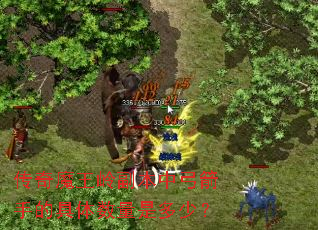 传奇魔王岭副本中弓箭手的具体数量是多少? 传奇魔王岭副本中弓箭手的具体数量是多少?
