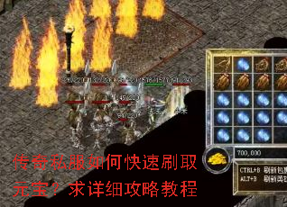 传奇私服如何快速刷取元宝?求详细攻略教程 传奇私服如何快速刷取元宝?求详细攻略教程