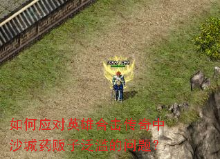 如何应对英雄合击传奇中沙城药贩子泛滥的问题? 如何应对英雄合击传奇中沙城药贩子泛滥的问题?
