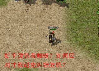 新手遭遇毒蜘蛛?如何应对才能避免纠缠危机? 新手遭遇毒蜘蛛?如何应对才能避免纠缠危机?