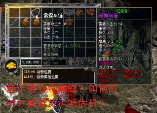 新手遭遇毒蜘蛛?如何应对才能避免纠缠危机? 新手遭遇毒蜘蛛?如何应对才能避免纠缠危机?