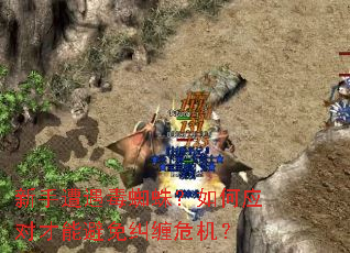 新手遭遇毒蜘蛛?如何应对才能避免纠缠危机? 新手遭遇毒蜘蛛?如何应对才能避免纠缠危机?