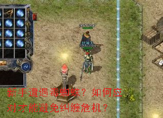 新手遭遇毒蜘蛛?如何应对才能避免纠缠危机? 新手遭遇毒蜘蛛?如何应对才能避免纠缠危机?