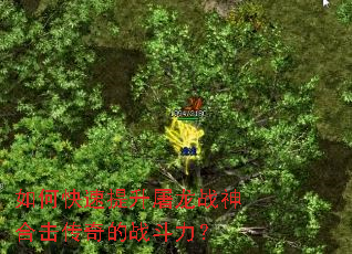 如何快速提升屠龙战神合击传奇的战斗力? 如何快速提升屠龙战神合击传奇的战斗力?