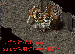 如何快速提升zhaosf123传奇私服新服角色等级? 如何快速提升zhaosf123传奇私服新服角色等级?